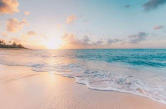 Pet Friendly Hotels In Myrtle Beach